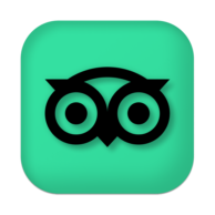 tripadvisor guru restaurant
